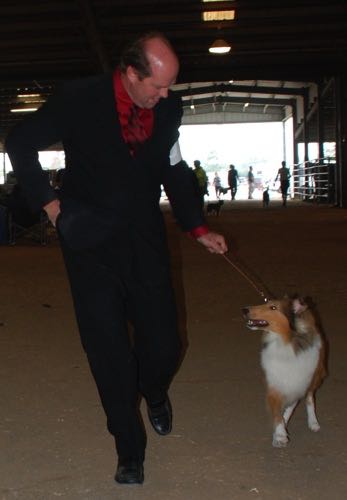 Ginger20091108HoneytreeDarkGingerDogShow7 - 2009-11-08 at 12-33-29_g8it34.jpg